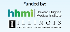 funded by HHMI