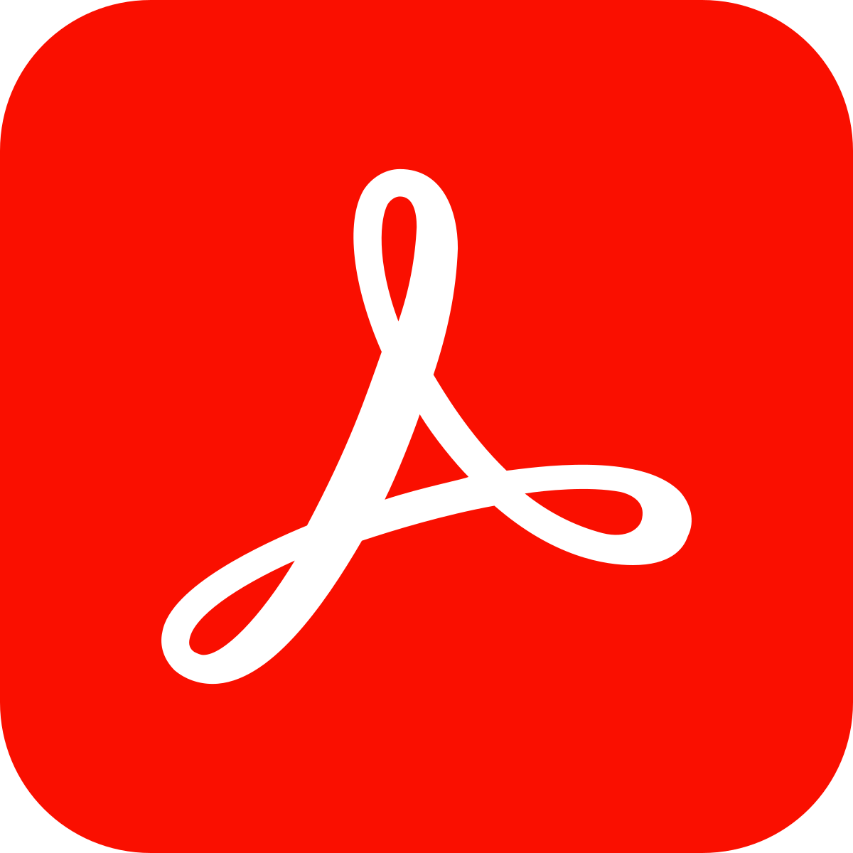 PDF icon