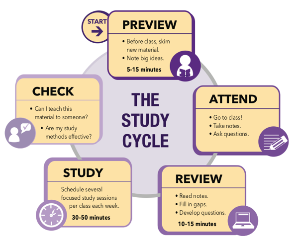 The Study Cycle
