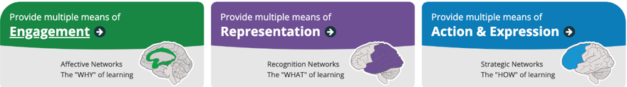 Three-column infographic showing the three UDL Principles. Each column includes an illustration of a brain with a specific neural network outlined. Column one reads, Provide multiple means of Engagement, Affective Networks. The Why of learning. Column two reads, Provide multiple means of Representation, Recognition Networks. The What of learning. Column three reads, Provide multiple means of Action & Expression, Strategic Networks. The How of learning.