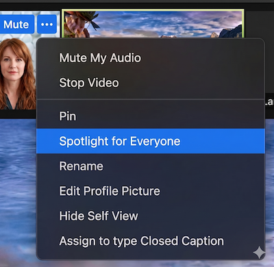 Spotlight for Everyone Setting