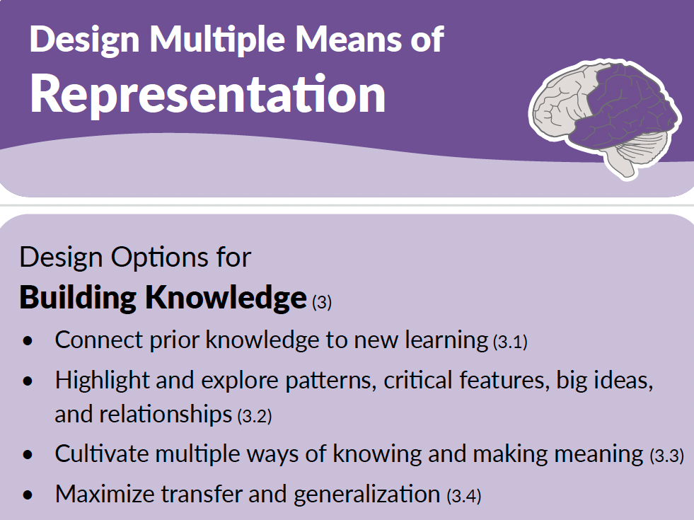 Clipped portion of the UDL 3.0 Graphic Organizer highlighting Design Multiple Means of Representation column and the box for Design Options for Building Knowledge. Design options are Connect prior knowledge to new learning; Highlight and explore patterns, critical features, big ideas, and relationships; Cultivate multiple ways of knowing and making meaning; Maximize transfer and generalization