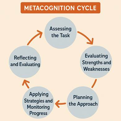 The Metacognitive Cycle: 1. Assessing the Task, 2. Evaluating Strengths and Weaknesses, 3. Planning the Approach, 4. Applying Strategies and Monitoring Progress, 5. Reflecting and Evaluating