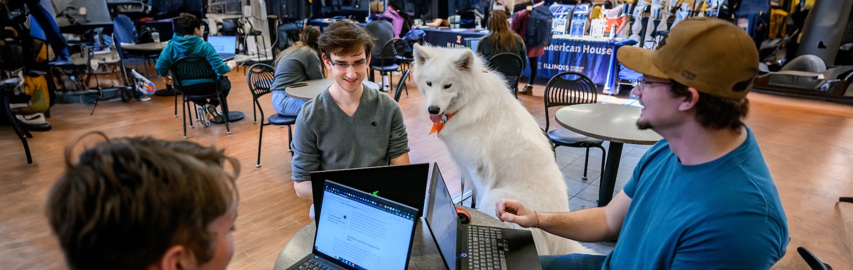 a white fluffy dog sits with three students studying